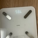 안**-4 | 다이어트환 체감환 비대면 처방 4주 후기｜안빠지던 마지막 3kg 감량 성공 리얼 후기