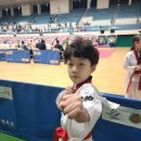 성실태권도 체육관 이미지