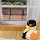 에이프릴센트 이미지