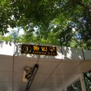 강남 압구정동 현대아파트 전세 61동 33평형 고층 관련 웹주소 안내(20220616-가0037) 이미지