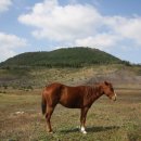 달리오름 이미지