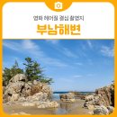 부남 | 시원한 삼척여행! 영화 헤어질 결심 촬영지 부남해변 주차장 정보 포함