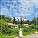 매향농촌체험휴양마을 네이버블로그