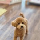 오늘도 너에개 이미지