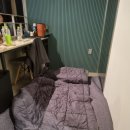 미스터브릭 | 부산 사상구 미스터 브릭 이용후기(김해공항 이용)