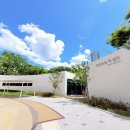 양천근린공원 키지트 이미지