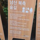 남산20분만에 올라갈 수 있는 남산데이트코스 남산북측숲길 방문후기