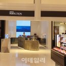 원스킨화장품