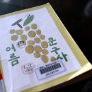 중앙종묘사 | 여름문구사 제주 구좌읍 소품샵 감성 가득 동쪽 여행 후기