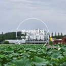 복룡리 화장실 | 전남 무안가볼만한곳 회산백련지 연꽃 개화 상황 및 물놀이장