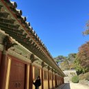 [경주여행] 2박3일 경주 알차다 ~! (라한셀렉트경주 , 월정교,콩이랑,경주카페, 교리김밥 등 후기 )