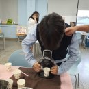 김제중앙중학교 이미지