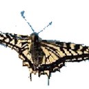 호동어린이집 이미지