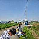 애기똥풀 어린이집 이미지