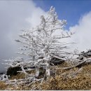 제주『한라산.윗세오름』ㅡ 상고대보다는 조망을원했건만 이미지