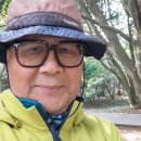 아름다운 여수항의 봄소식ㅡ영취산~오동도 이미지