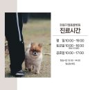 동울산동물병원 | 노령견 가슴 종양 제거 수술 후기, 울산 태화 동물병원