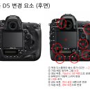 D5 IT동아