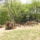 아양사랑숲 이미지