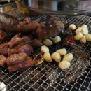 황소고집 이미지