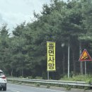 [남해여행] 태교 찾아 삼만리 🚘