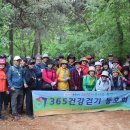 제1396회 365건강걷기 양천구 신정산 둘레길 (04월28일) (화요일)꿀굴 대장님 리딩 이미지