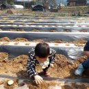 준영농장 이미지