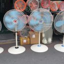 재관농장 이미지