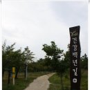 [20161001]&#39;영종도(건강백년길-백련산-백운산-백운산둘레길) 걷기 &amp; 2016 드림파크 가을나들이 행사&#39;에...