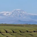 창천목장 이미지