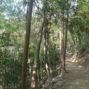 다산명가 이미지