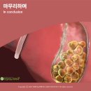 라임비뇨기과의원 이미지
