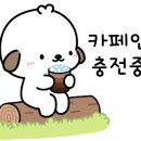 디오브어린이집 이미지