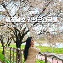 한글비근린공원 | 대전 벚꽃명소 갑천근린공원 실시간 개화현황 데이트 추천 4월 가볼만한곳