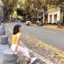 [오후N] 우리 가족 건강 챙기는 사찰음식 체험 | 베트남 하노이 날씨 10월 여행 옷차림 준비물 대기질 및 N번차 방문자의 꿀팁