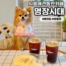 럭스나인은계 | [시흥은계 명장시대] 시흥애견동반카페 다양한 빵을 맛볼 수 있는 베이커리 맛집