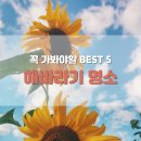 구와우농장 | 꼭 가봐야할 해바라기 명소 BEST 5