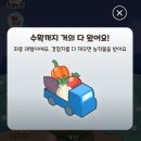 올웨이즈짐 | 올팜 완벽 가이드｜올팜맞팜 올웨이즈 앱테크 무료 농산물 받는 법 (1년 실사용 후기)