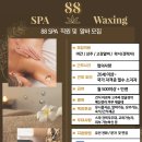 ＜＜강남＞＞ 88 SPA 에서 여 관리사님을 구인합니다.(협의사항 최대한 맞춰드려요~) 이미지