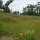 봉소2리마을회관 이미지