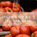 토마토온누리약국 이미지