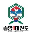 송암kids태권도
