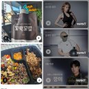 핫한 심으뜸 다이어트 원트 다이어트 3주 솔직 후기