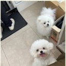 진헤어 이미지