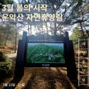 개울가 야영장 | 포천 아이랑 운악산자연휴양림 초롱꽃 8명 숙박 후기