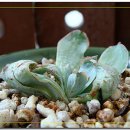 쪽빛하늘 이미지