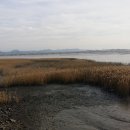 순천별량중학교 Daum카페