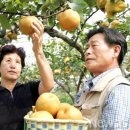 당골농원 이미지