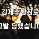 변호사이경우법률사무소