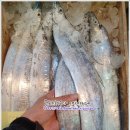 11월 26일(화) 목포는항구다 생선카페 판매생선[ 갈치(중대, 대갈치, 파갈치) / 참조기 160미. (소) / 민어(통치), 삼치 곱창김 ] 이미지